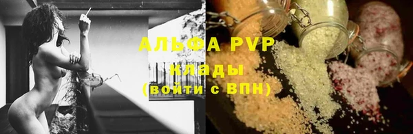 a pvp Коряжма