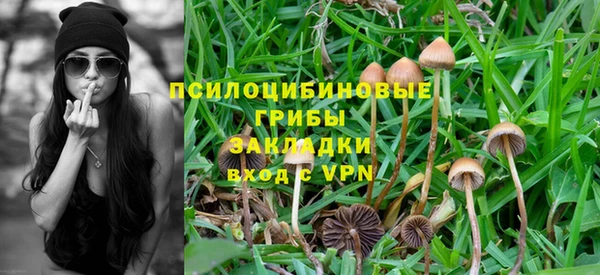 ALPHA PVP Корсаков