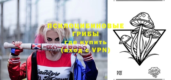 a pvp Коряжма
