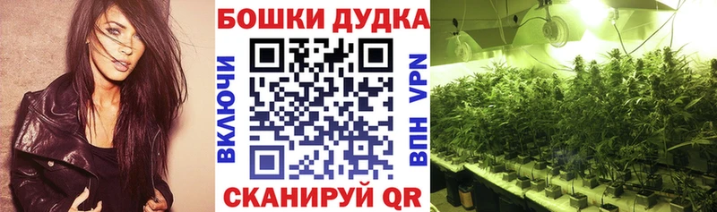Бошки Шишки сатива Асбест